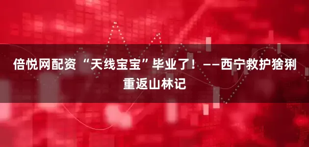 倍悦网配资 “天线宝宝”毕业了！——西宁救护猞猁重返山林记